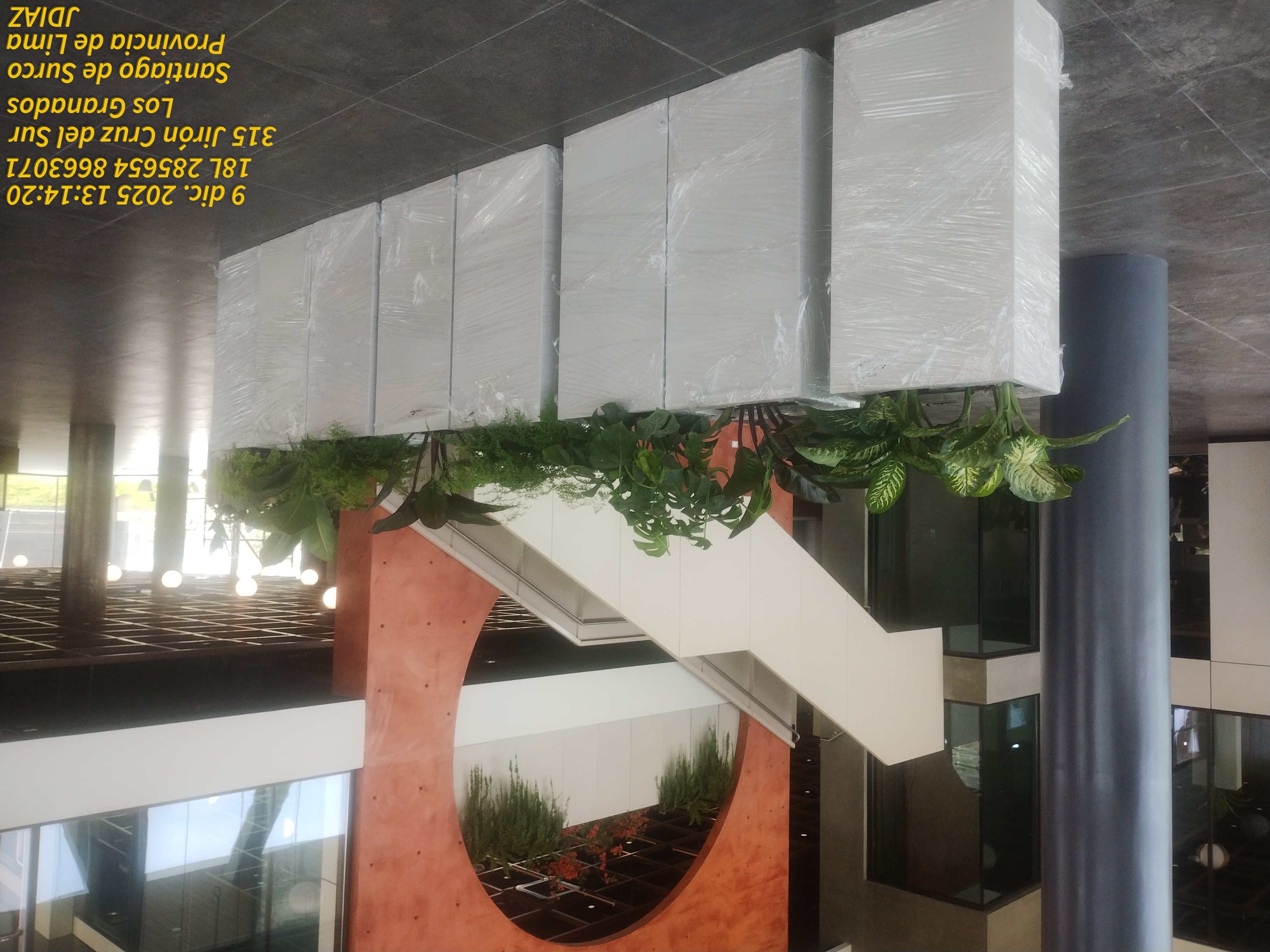 PLANTAS INTERIORES